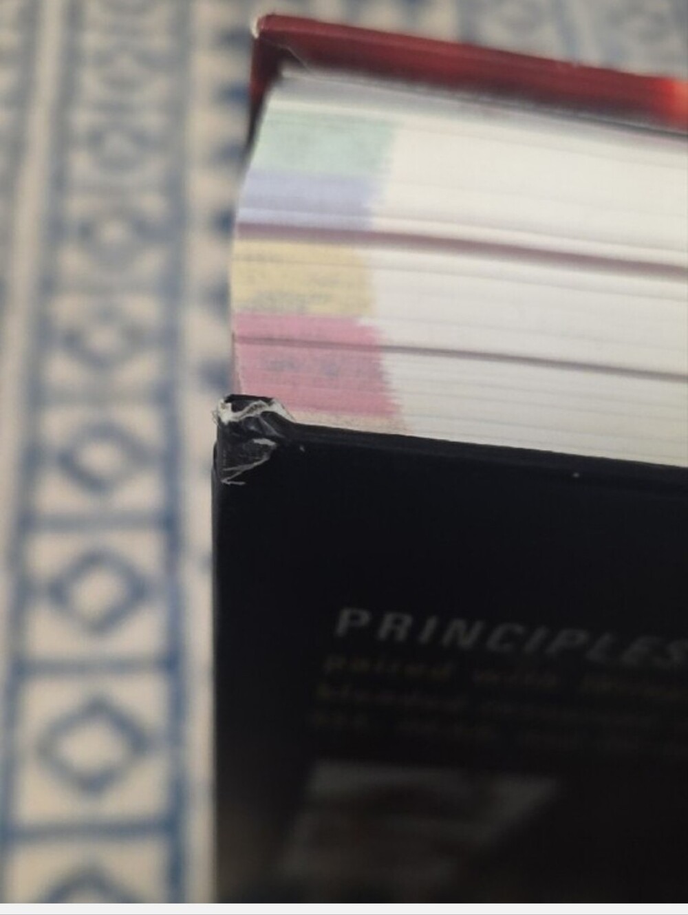 Principles of Anatomy and Physiology - Red Hardcover Textbook - Picture 5 of 5